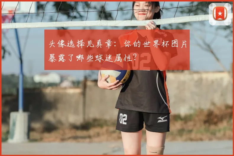 头像选择见真章：你的世界杯图片暴露了哪些球迷属性？