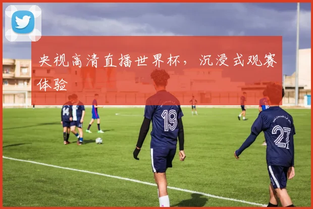 央视高清直播世界杯，沉浸式观赛体验