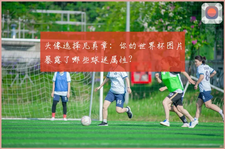 头像选择见真章：你的世界杯图片暴露了哪些球迷属性？