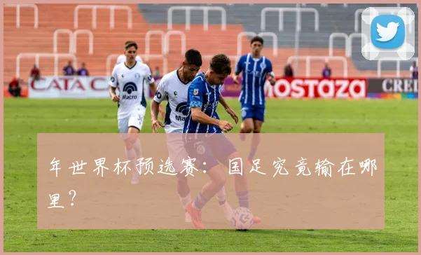 年世界杯预选赛：国足究竟输在哪里？
